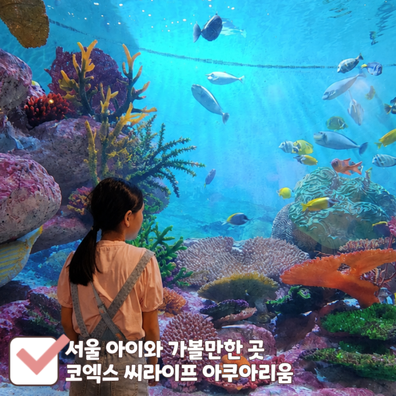 코엑스 아쿠아리움 인어쇼 후기｜아이와 서울 가볼만한 곳