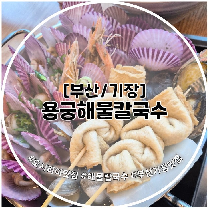 기장 데이트 코스 용궁해물칼국수 반려동물 동반 가능 식당