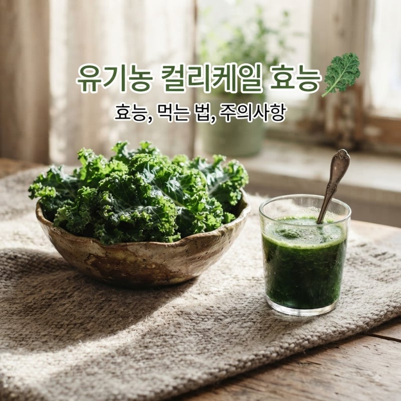 유기농 컬리케일 효능 영양성분부터 먹는방법 부작용까지 총정리