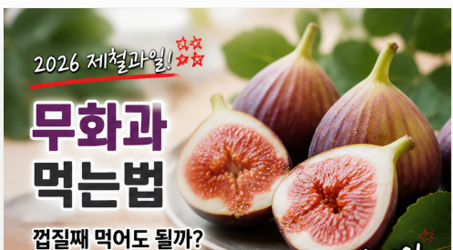 2026 무화과 먹는법｜껍질째 먹어도 될까? 세척·제철·보관법·고르는법 총정리