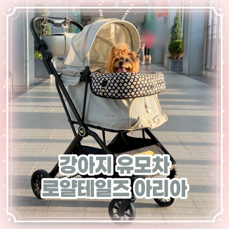 로얄테일즈 강아지 유모차 일체형 아리아 사용 후기