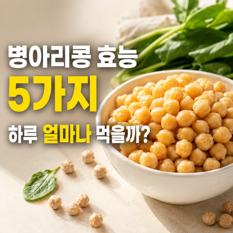 병아리콩 효능 5가지, 하루 섭취량과 먹는법까지