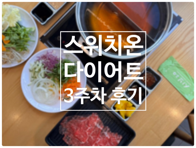 스위치온 3주차 후기 (1끼 저탄수 일반식, 1끼 무탄수 일반식) / 거의 내맘대로 스위치온