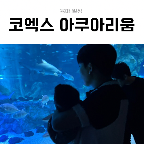 6개월 아기랑 코엑스 아쿠아리움｜유모차·주차·수유실 아기사랑방 후기
