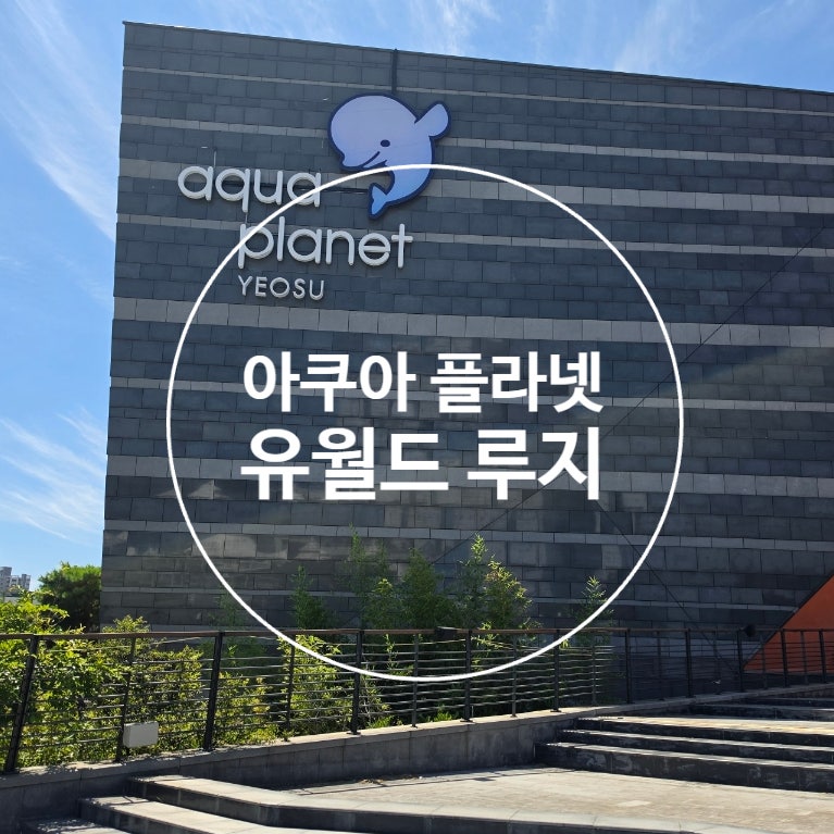 여수 아이와 가볼만한곳｜4살 아이와 아쿠아플라넷·유월드 루지 후기