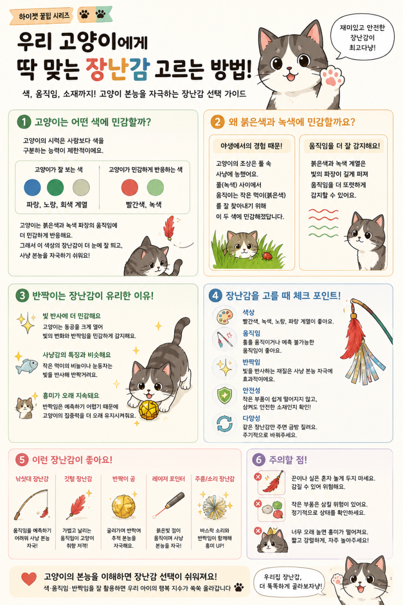 27. 우리 고양이. 장난감에 너무 일찍 흥미를 잃어요!