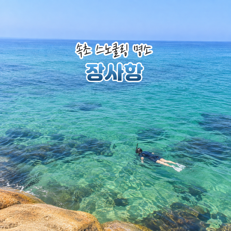 속초 장사항 스노쿨링 어디서? 바다낚시 체험공원까지