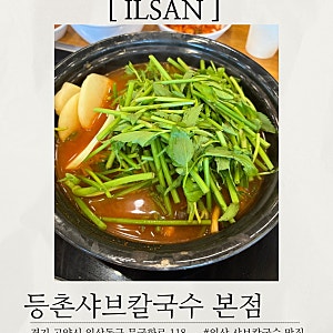 [일산 맛집] 등촌샤브칼국수 본점 | 일산에서 꼭 먹어봐야 할 미나리버섯칼국수 • 샤브샤브 ....
