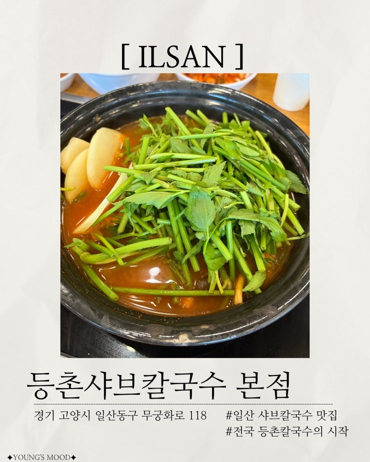 [일산 맛집] 등촌샤브칼국수 본점 | 일산에서 꼭 먹어봐야 할 미나리버섯칼국수 • 샤브샤브 ....