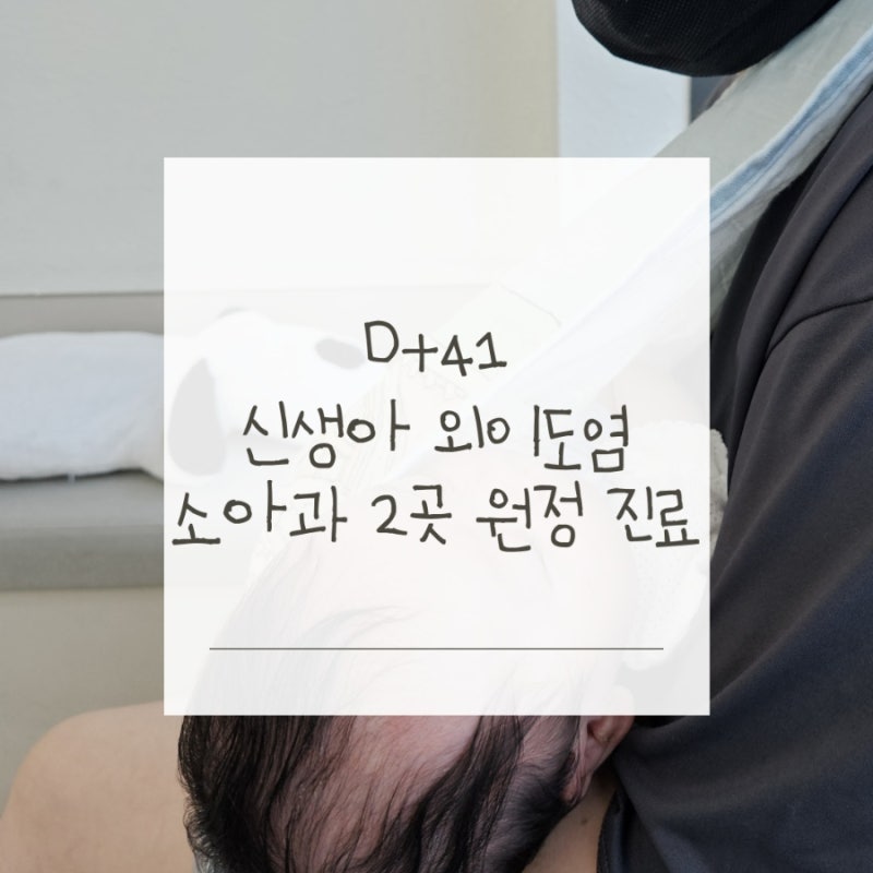 D+41일 | 귀 태열 심해져 외이도염? 뜻밖의 신생아 심잡음 소견까지 들은 날