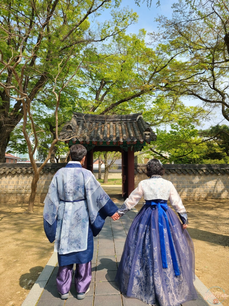 전주 가볼만한곳 전주한옥마을 1박 2일 코스 추천! 한복 대여부터 필수 먹거리, 오목대 야경....