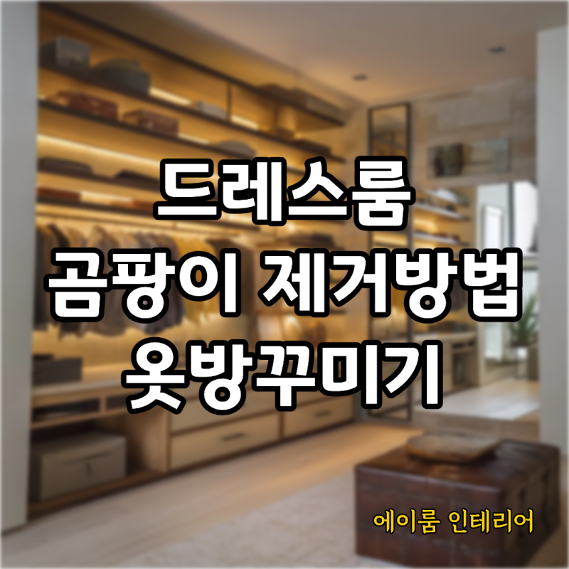 드레스룸 곰팡이 제거방법부터 옷방꾸미기 꿀팁까지