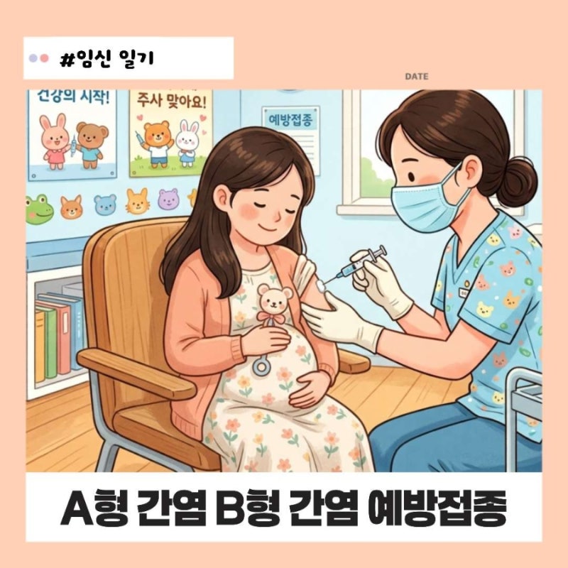 임산부 B형 간염 A형 간염 예방접종 비용 저렴한 곳 추천