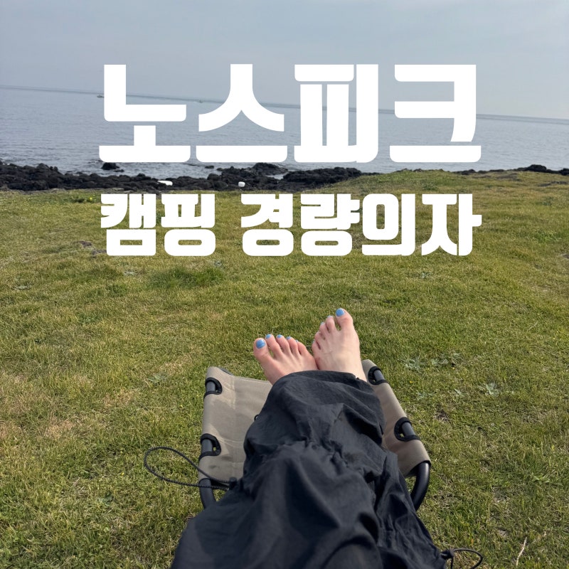 노스피크 BBQ 체어 와이즈 미니 캠핑 의자 경량 낚시의자 추천