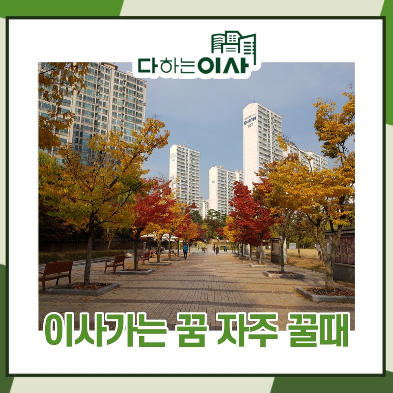 이사하는 꿈, 해몽(풀이) 살펴보기 :: 새집과 헌집, 차이는?