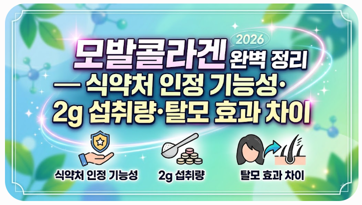 모발콜라겐 2026 완벽 정리 — 식약처 인정 기능성·2g 섭취량·탈모 효과 차이