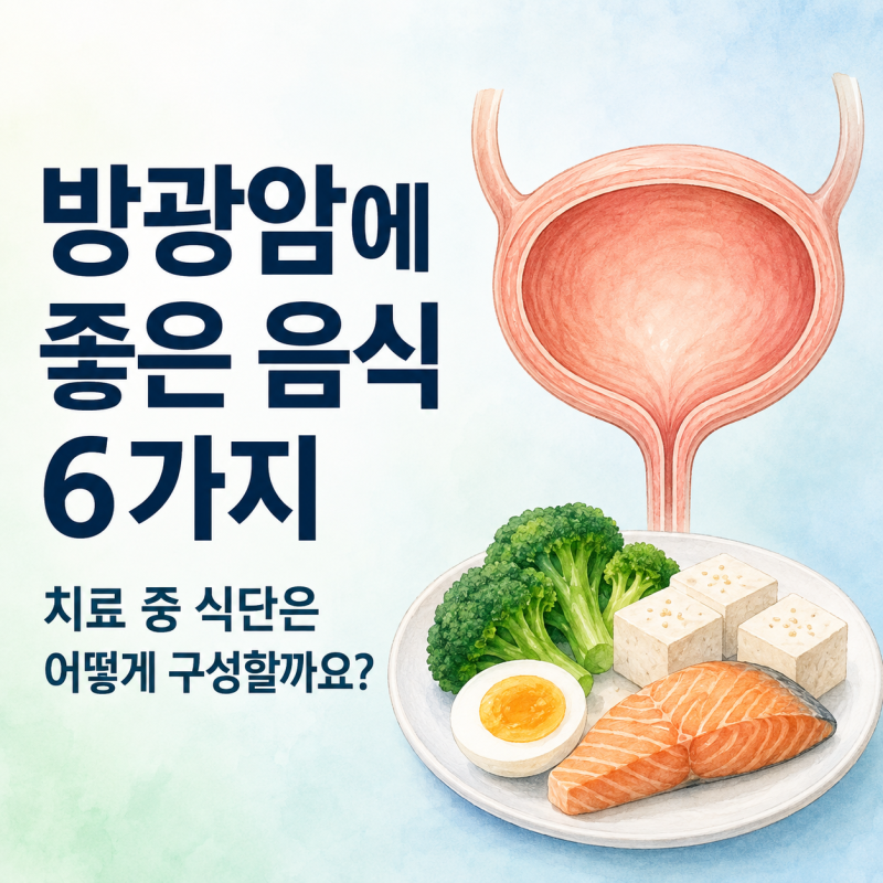 방광암에 좋은 음식 6가지, 치료 중 식단은 어떻게 구성할까요?