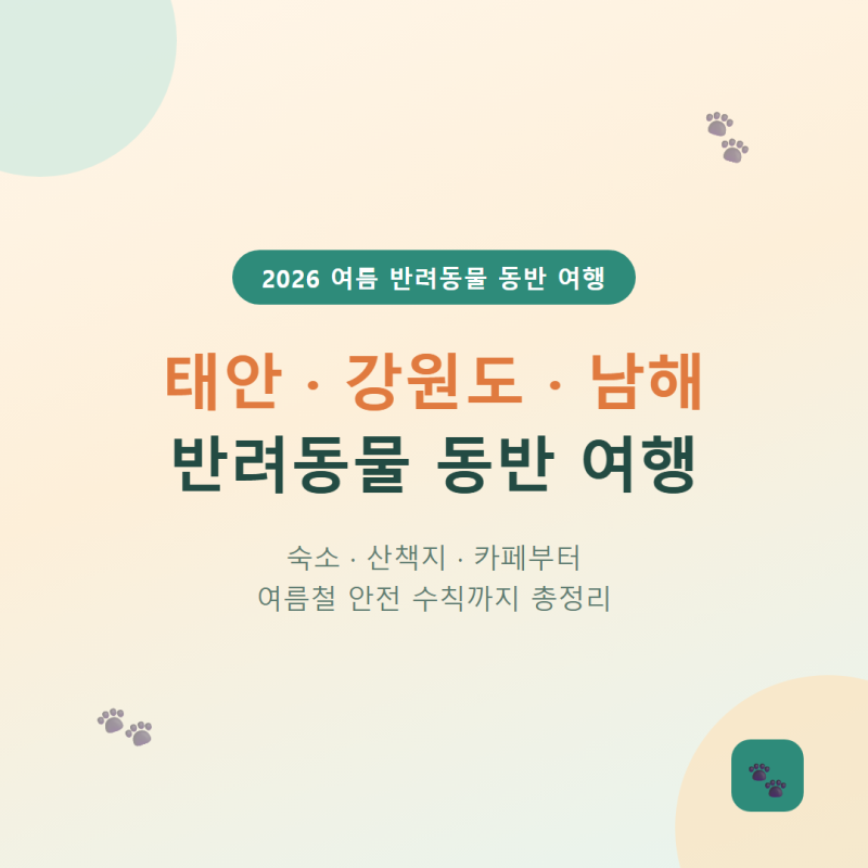 태안·강원도·남해 반려동물 동반 여행 숙소·명소 총정리