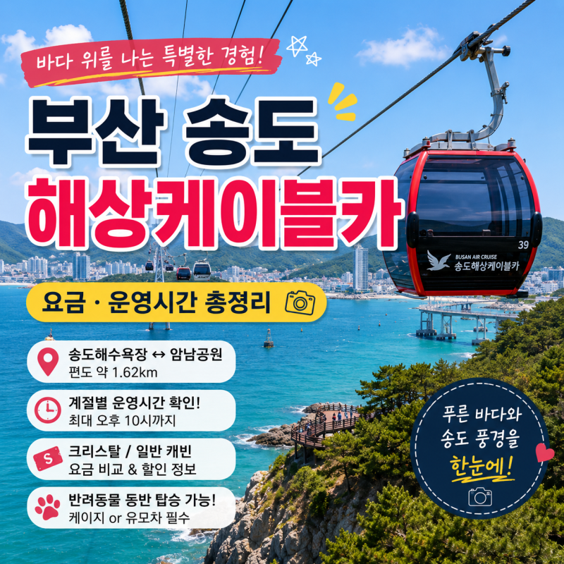 釜山必訪景點：海上行駛的松島海上纜車費用、營運時間總整理