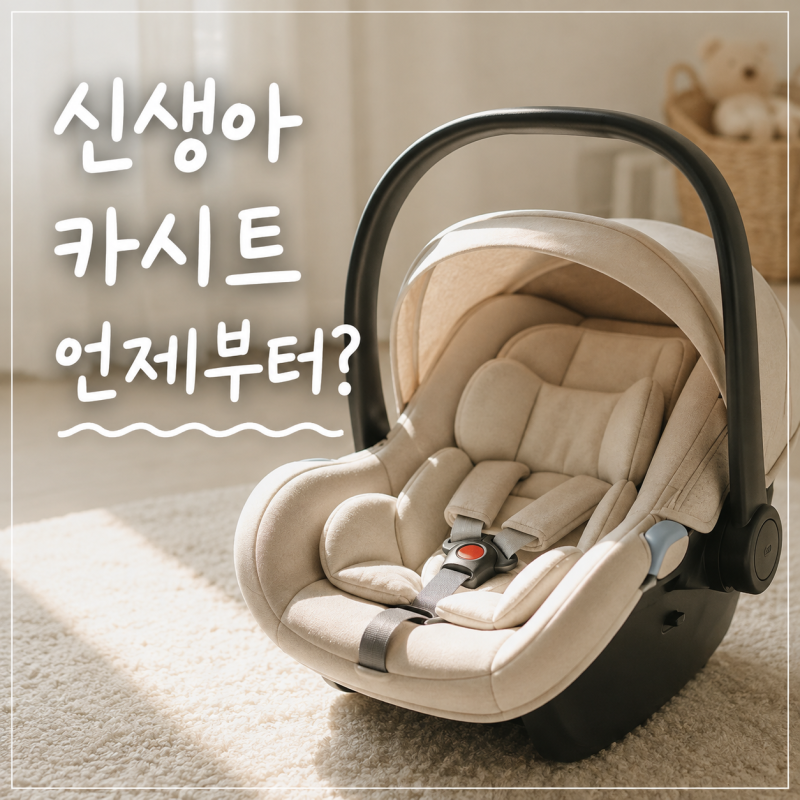 신생아 카시트 언제부터? 바구니카시트 꼭 필요할까
