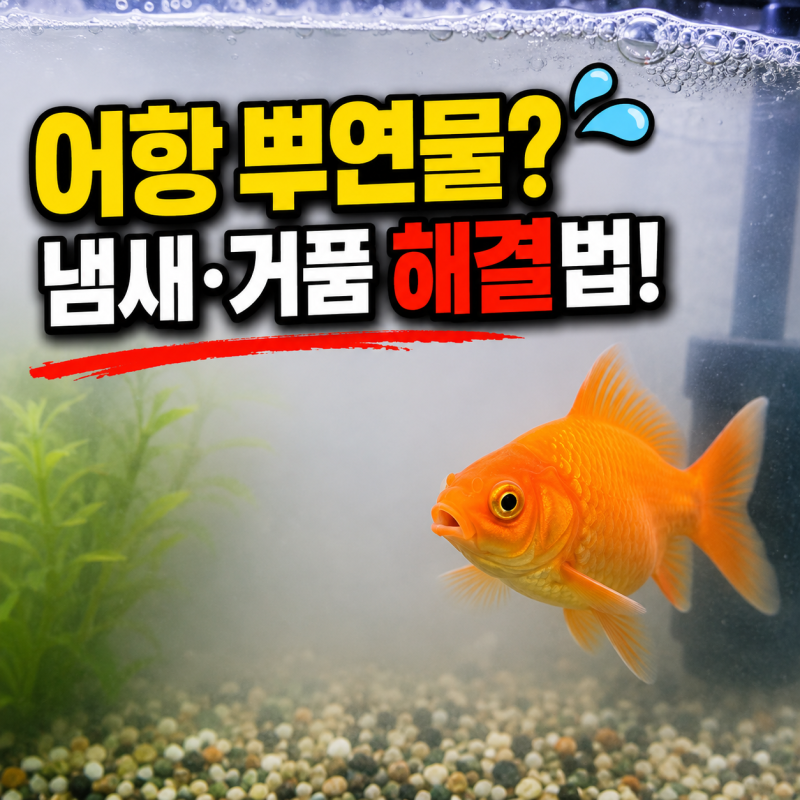 어항 백탁현상 원인은? 물비린내 비린내 거품 제거 방법