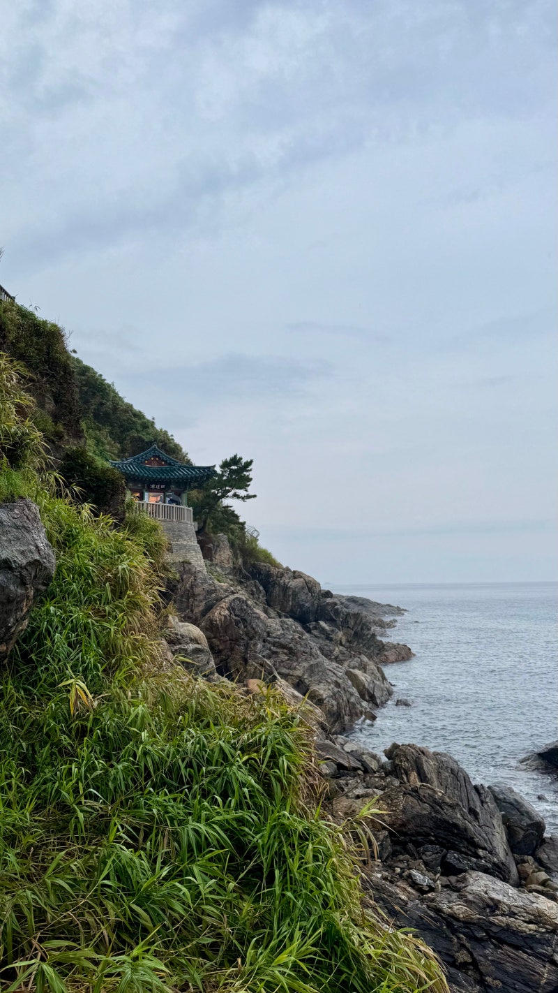 파랑새와 붉은 연꽃, 양양 낙산사(洛山寺)