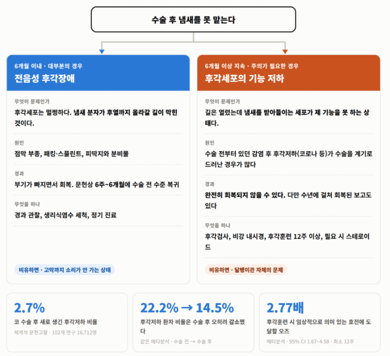 코수술 코성형 후에 냄새를 못 맡아요 — 코수술 코성형 후 후각저하의 진짜 원인