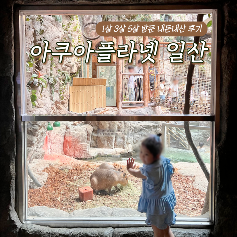 일산 아쿠아플라넷 아쿠아리움, 1살 3살 5살 방문 후기 (공연 시간, 입장료 할인 정보)