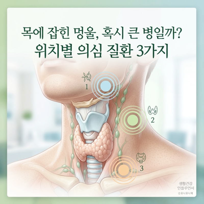 목에 멍울 턱밑, 쇄골 위, 목 옆 위치별 의심 질환과 병원 진료과 정리