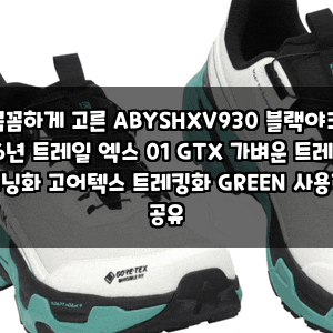 꼼꼼하게 고른 ABYSHXV930 블랙야크 26년 트레일 엑스 01 GTX 가벼운 트레일 러닝화 고어텍스 트레....
