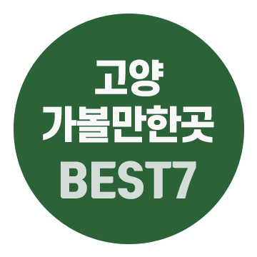 BEST 7 Places to Visit in Goyang, Gyeonggi Province: I Didn't Know Such Places Existed in Goyang!
