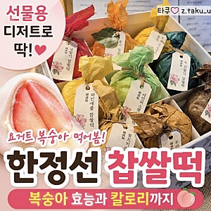 한정선 찹쌀떡 요거트 복숭아 먹고 찾아 본 복숭아 효능 & 칼로리