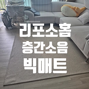 쫀쫀이 맞이 거실 변신! 리포소홈 층간소음 빅매트(200x240, 4cm)언박싱 & 셀프 조립 후기