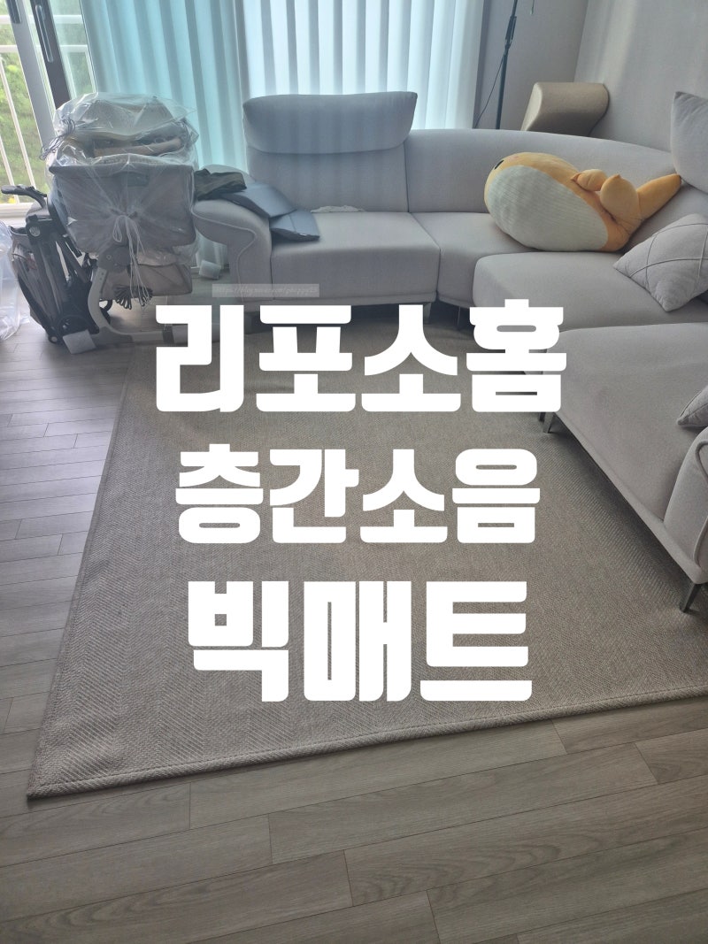 쫀쫀이 맞이 거실 변신! 리포소홈 층간소음 빅매트(200x240, 4cm)언박싱 & 셀프 조립 후기