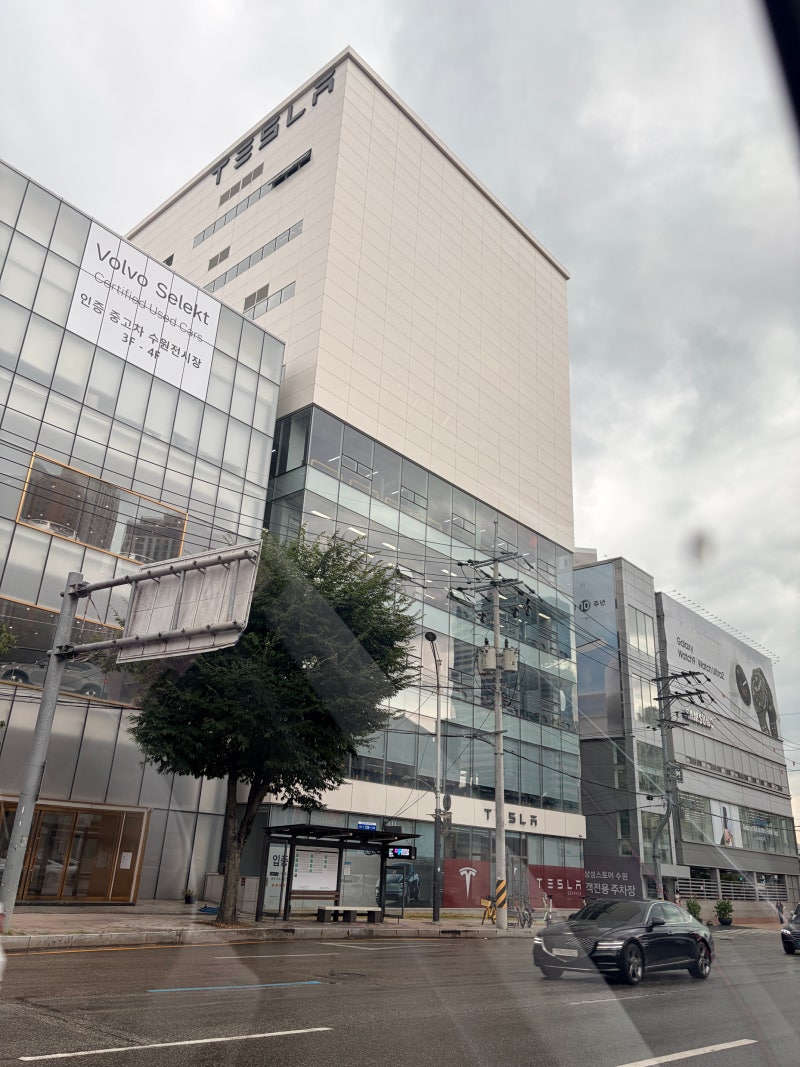 [테슬라수리]신차검수/결함발견/정비예약/용인서비스센터 부시기!