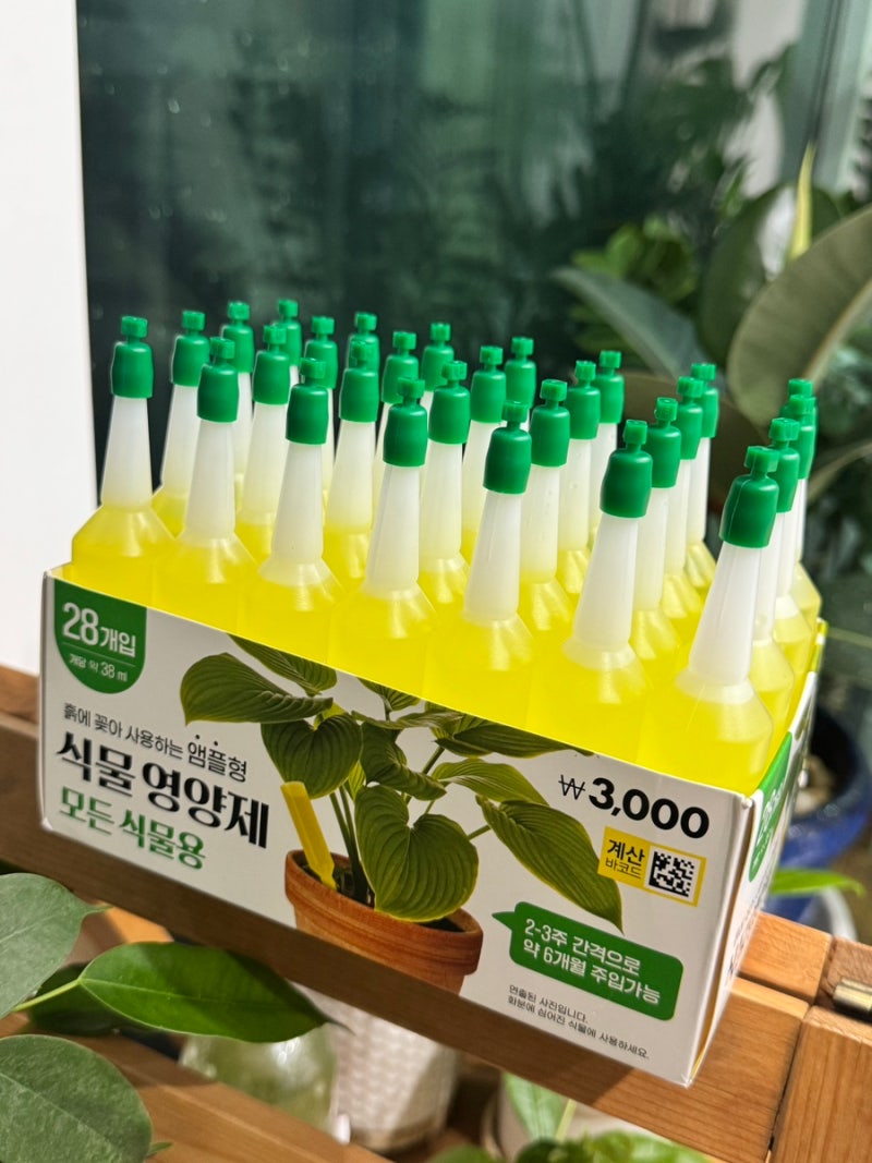 다이소 식물 영양제 종류 액체 사용법 주는법 효과 식물키우기 후기