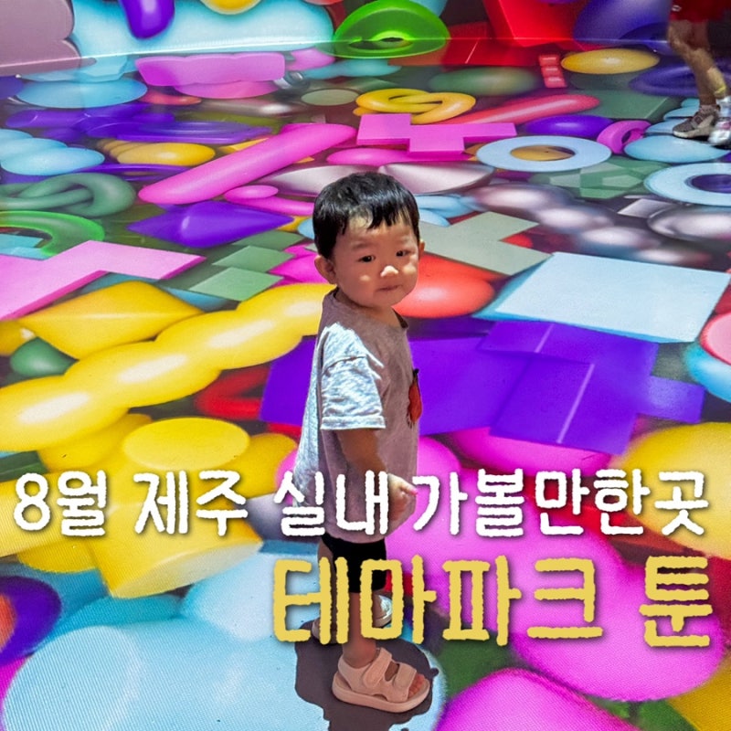 8월 제주 가볼만한곳 비 오는 날 아이랑 테마파크 툰