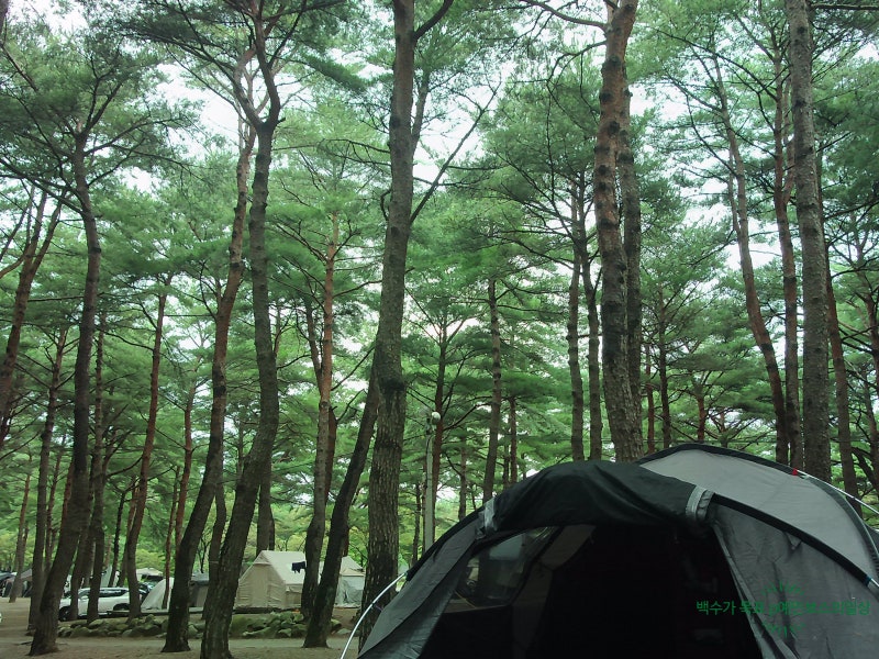[양양 캠핑장] 31개월 아기랑 양양오토캠핑장 2박 3일 ⛺️ 내돈내산 찐후기 (A존 팁, 배달 맛....