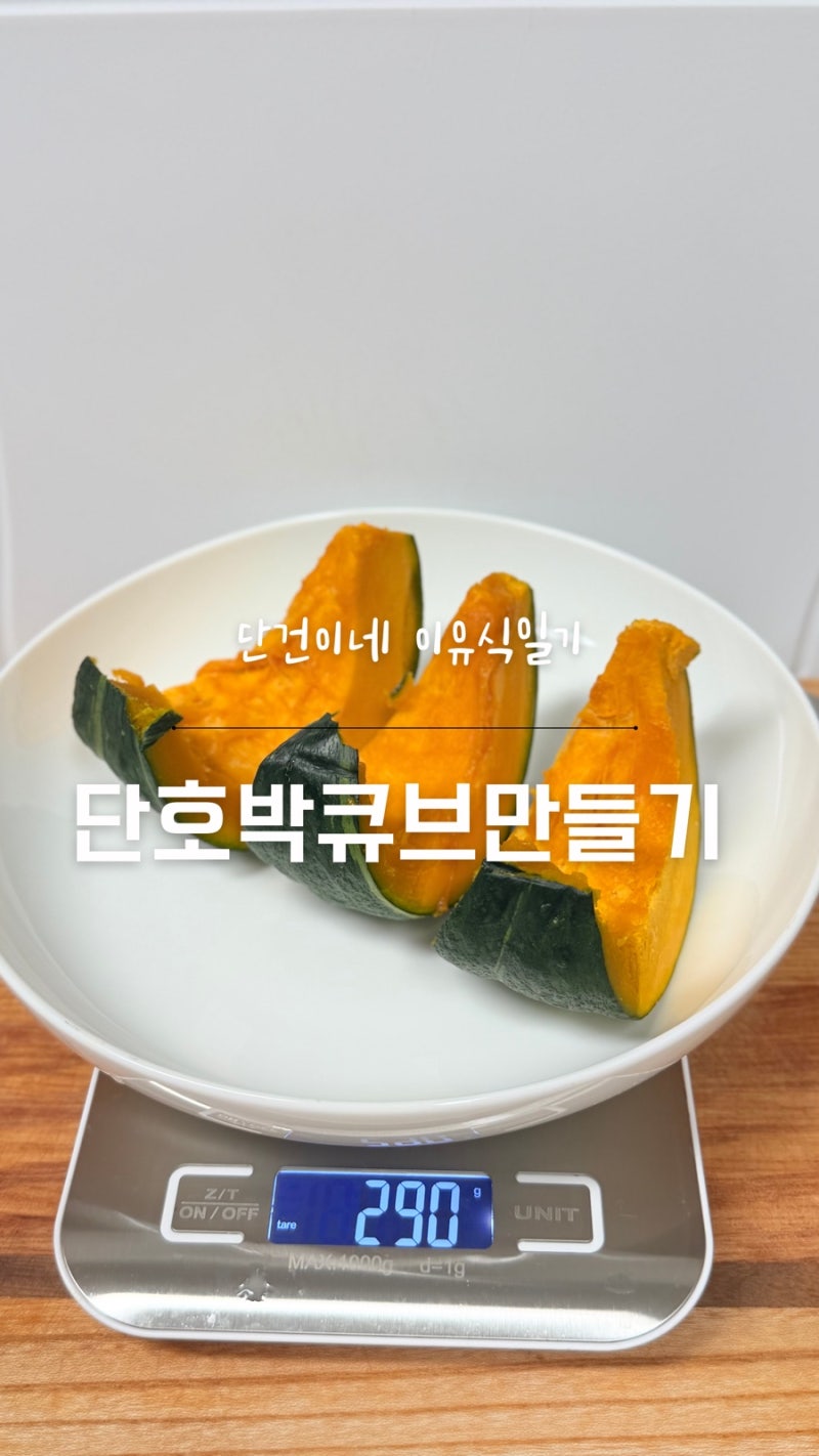 [이유식일기] 초기이유식 단호박큐브 만들기｜찜기 찌는 시간부터 보관까지