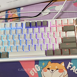 무접점 키보드 추천 5년 넘게 사용한 조용한 COX 엠프리스