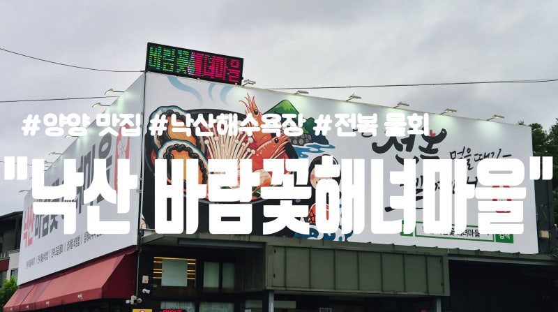 [강원도-양양] 양양 맛집 추천/낙산사 근처 맛집/죽도해수욕장 주변 맛집/전복모둠물회와 오....