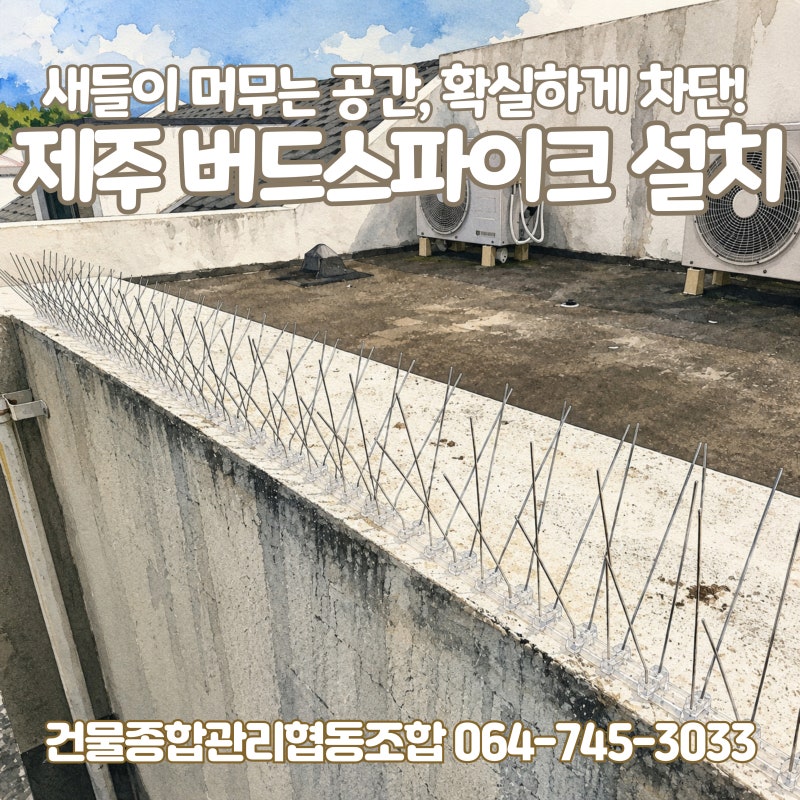 제주 버드스파이크 설치. 유해조류 퇴치 배설물 처리 비둘기와 제비, 새들아 미안하다