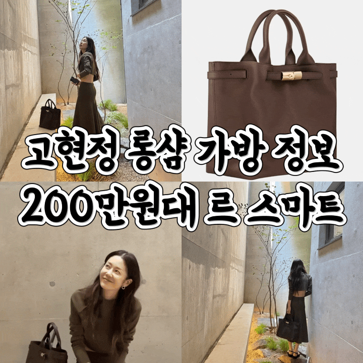 고현정 롱샴 가방 202만원? 르 스마트 L 모카 가격 정보