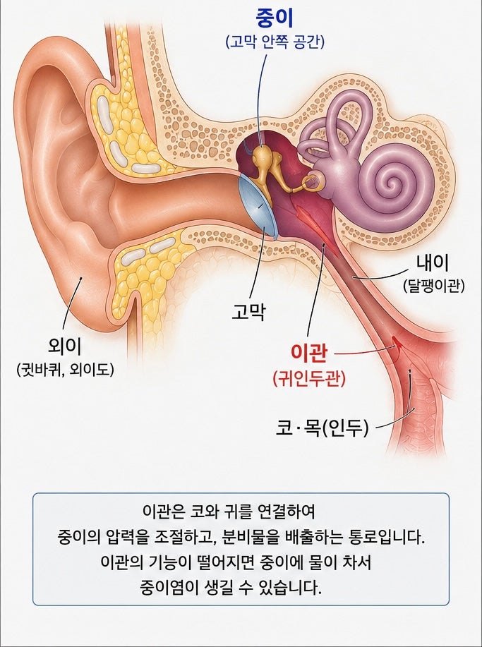 구순구개열이면 왜 귀튜브를 할까? 중이염이 생기는 이유/ 귀튜브 /서울아산병원 안중호교수....