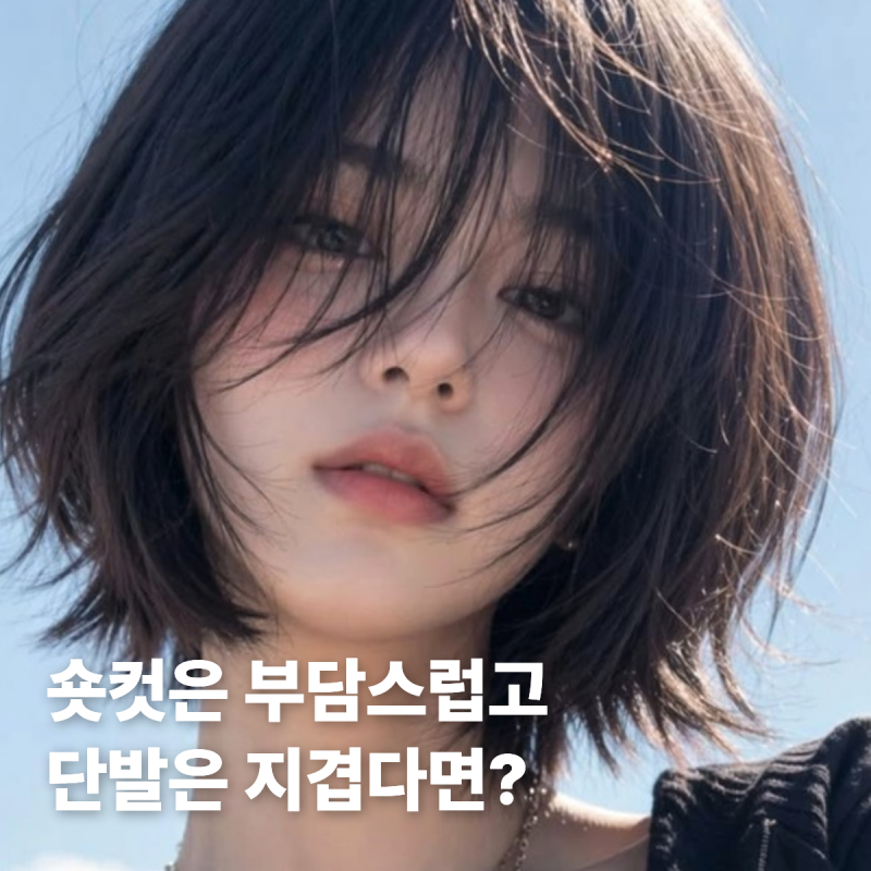 여자 빅시컷, 숏컷이 부담스럽다면 딱 좋은 요즘 여자 헤어스타일