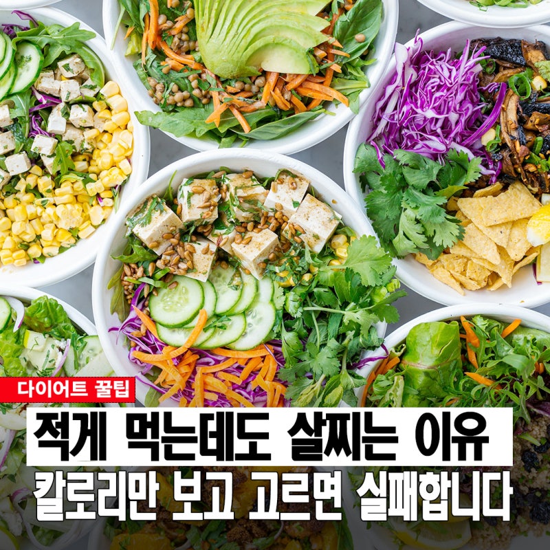 칼로리는 비슷한데 왜 나만 살찔까? 다이어트에 좋은 음식 vs 피해야 하는 음식