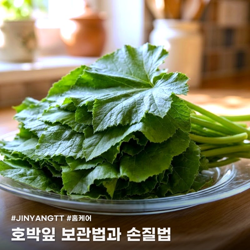 호박잎 보관 방법, 쪄야 할까 생으로 할까? 손질법까지