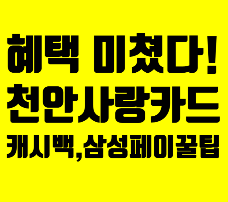 천안사랑카드 발급 삼성페이 등록 방법 및 가맹점 사용처 캐시백 혜택 총정리
