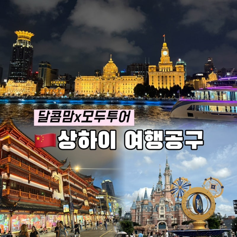 모두투어x달콤맘 상해 여행 공구 (+디즈니랜드, 노쇼핑)