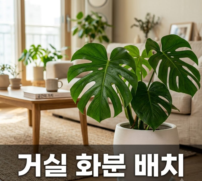 "비싼 가구보다 낫네" 거실 화분 배치 하나로 집안 분위기 확 바뀐 4가지 비결